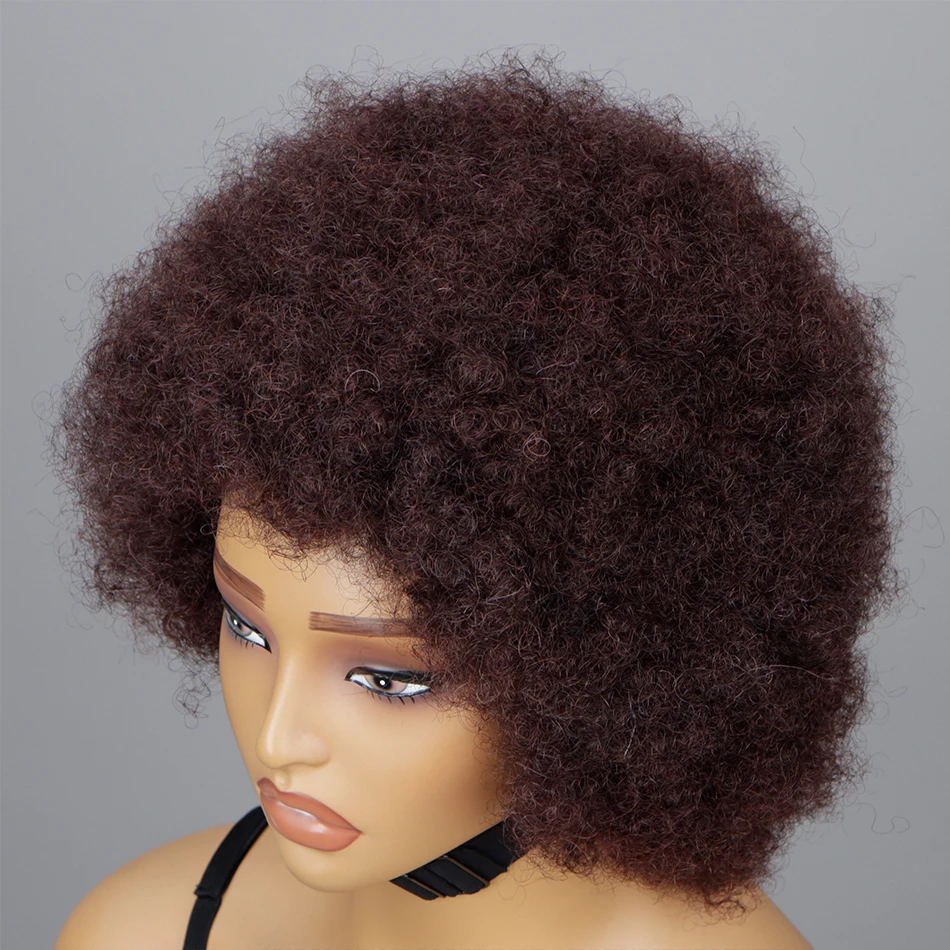 

Afro Curly Wigs for Women Short Afro Synthetic Puff Wig Dark Roots Natural Looking Heat Resistant Bouncy Wig for Daily Party Use