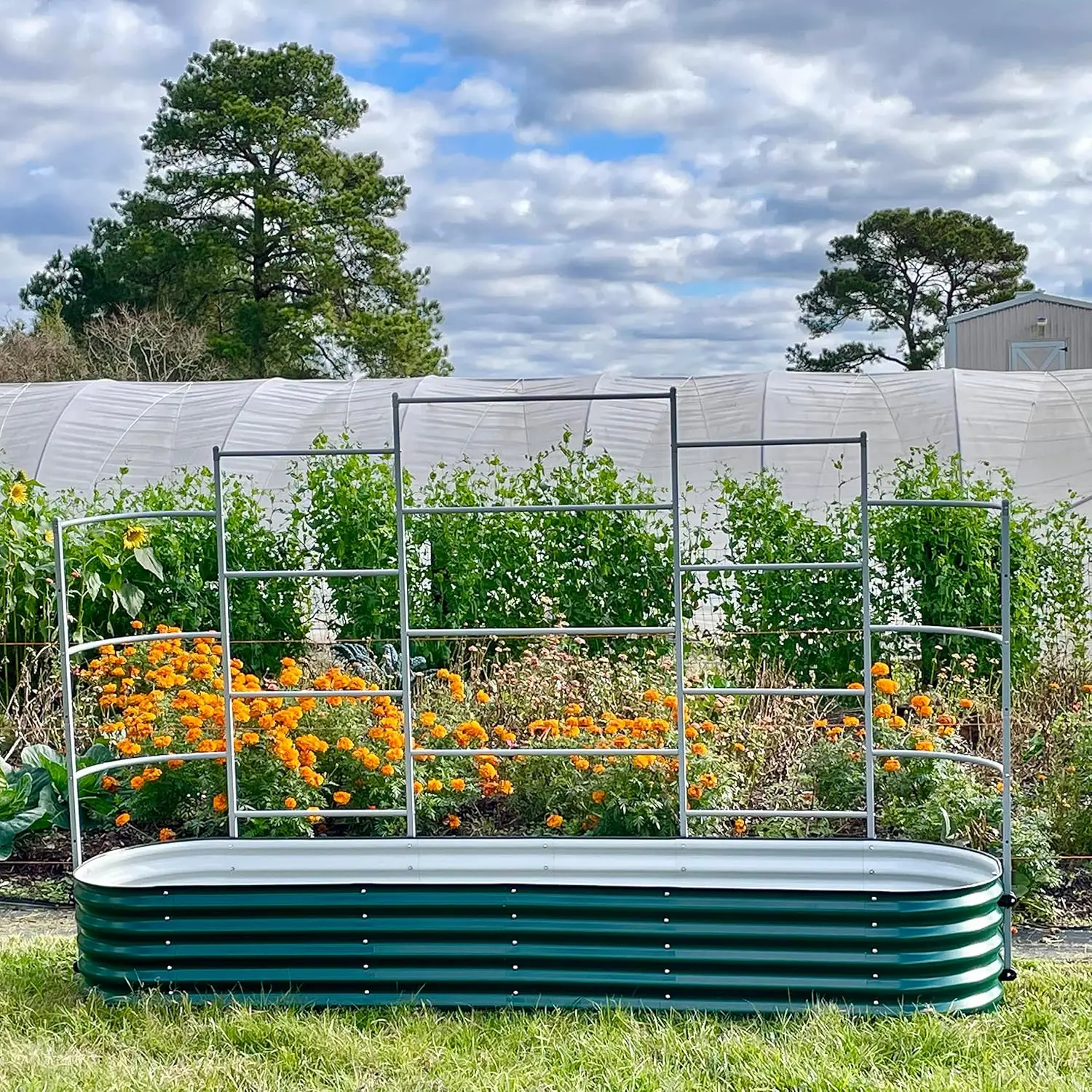 Modułowy system kratowy ścienny Vego Garden, trójsekcyjny długi dla 2,0' x 5,0' (4 w 1) lub (6 w 1) lub