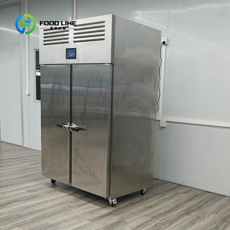 Low Temperature High Humidity Thawing Cabinet 80kg Double Door All Stainless Steel Industrial Equipment customized Efficient