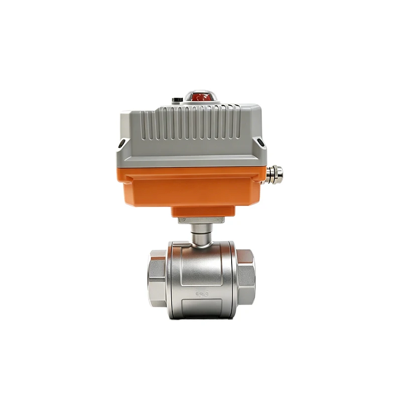 SS2205 BSP NPT Thread HGV Series Proportional Control Motorized Ball Valve AC220V