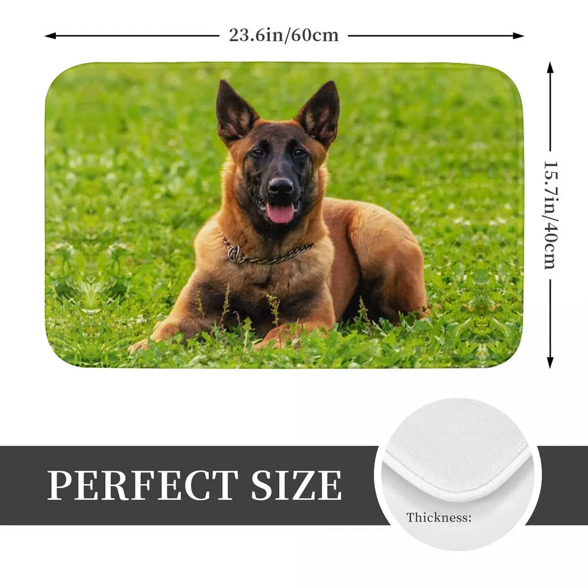 Belgian Shepherd Dog Malinois Doormat Kitchen Entrance Home Floor Mat Anti-slip Carpet Rug for Living room Footpad Mats