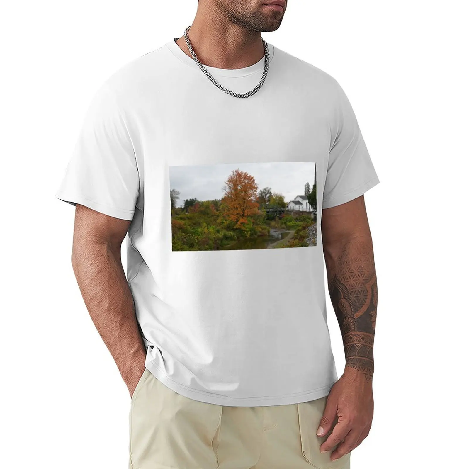 Cattaraugus Creek near the Arcade Railroad Station T-Shirt aesthetic clothes customizeds mens graphic t-shirts anime