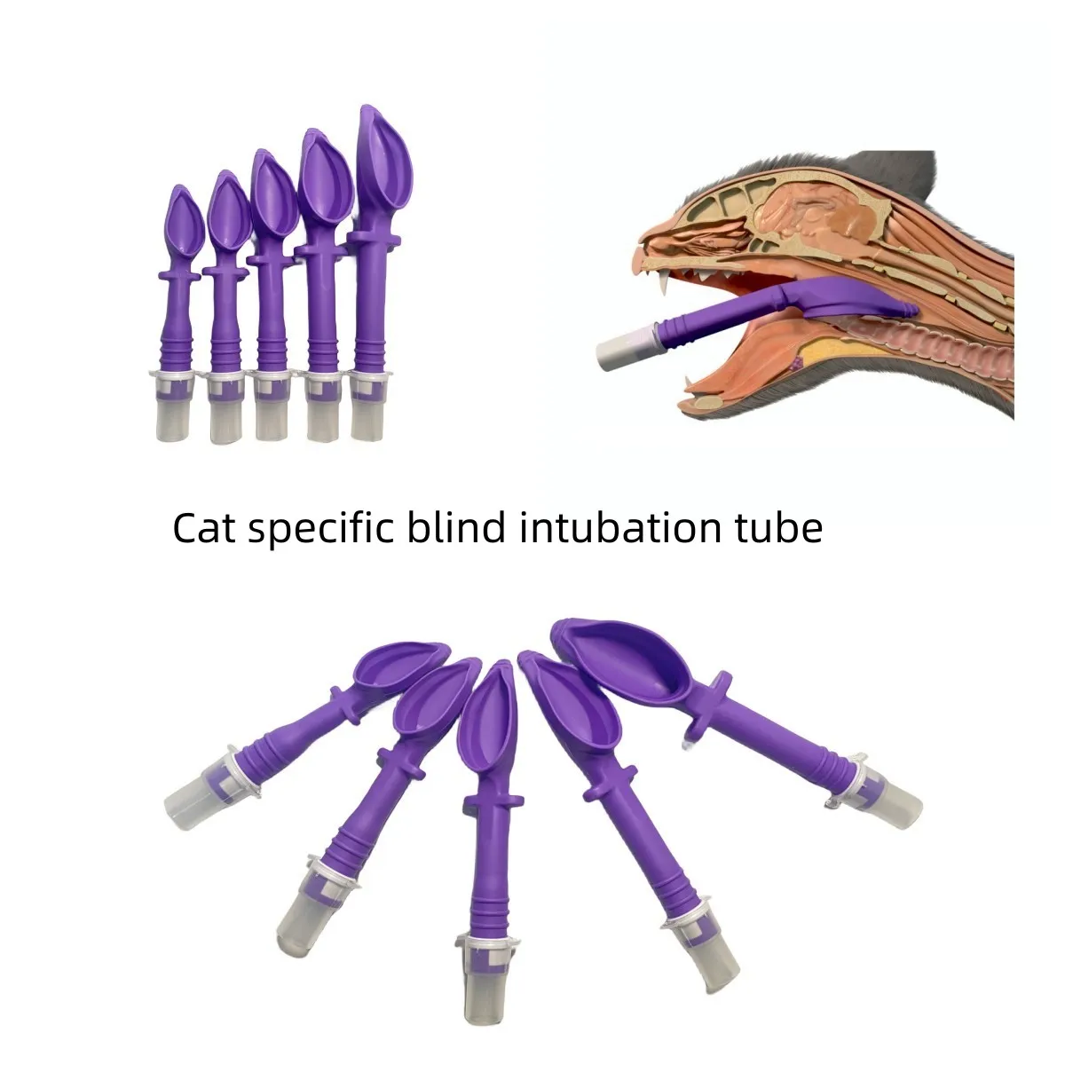 Blind intubation for cats and dogs, veterinary tracheal intubation, medical accessories