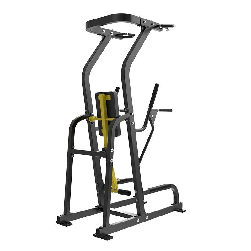 Commercial Gym Machine Station Heavy Duty Multi-Functional Adjustable Chin up Dip Machine for Abdominal Arms Chest Workout