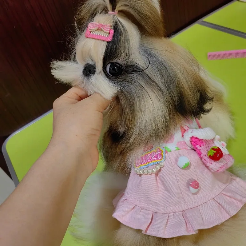 Lovely Strawberry Pattern Pet Sling Dress Soft Denim Layer Ruffle Dress Matching Tiny Knit Bag Lightweight Small Pet Costume