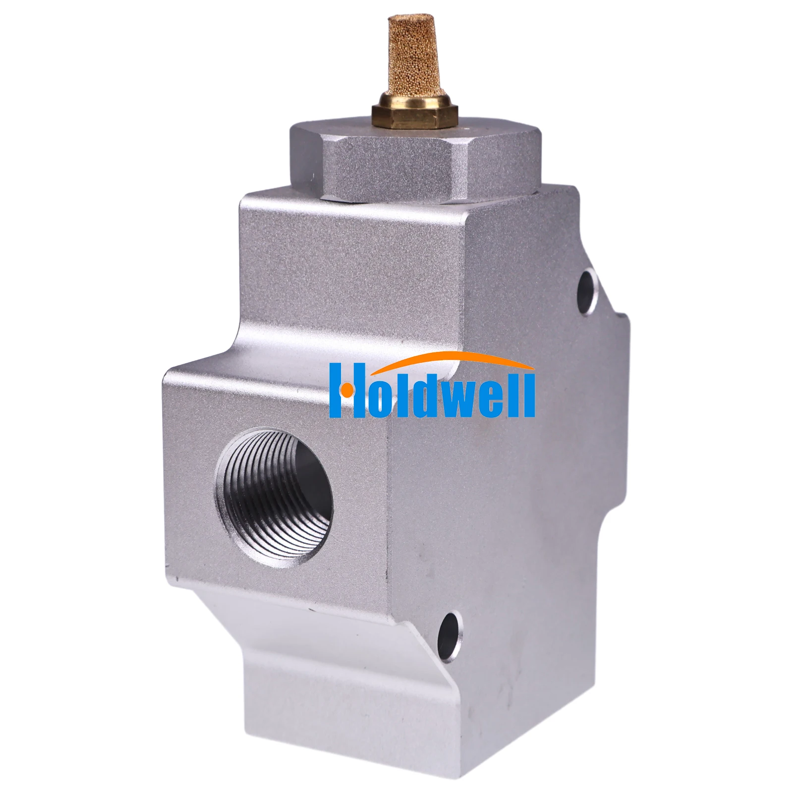 Holdwell Screw Air Compressor Pneumatic Vent Valve 1619533201 for Atlas Copco