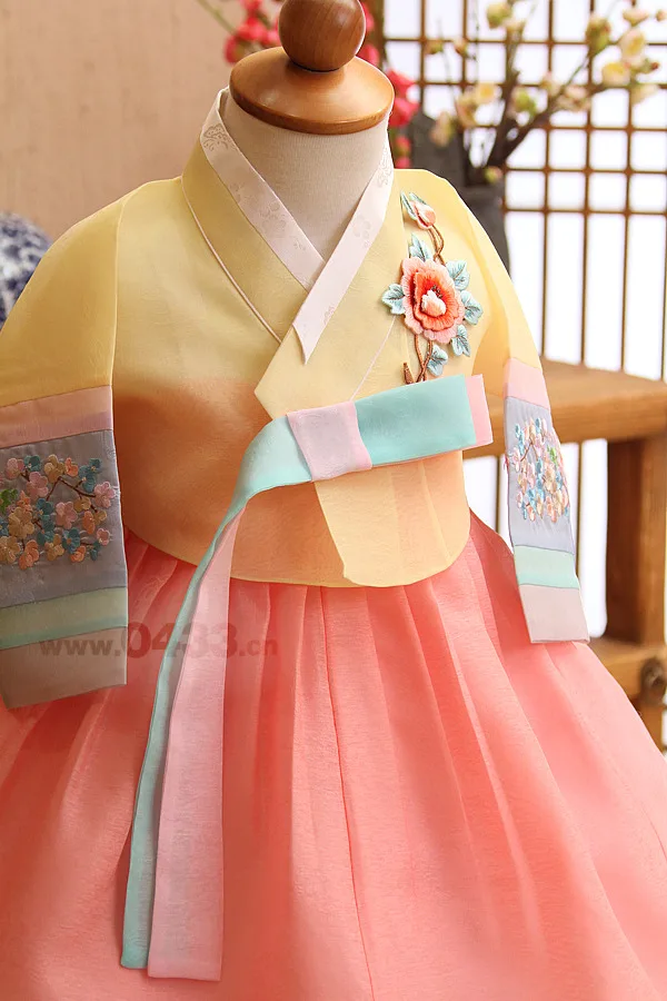 Girl Hanbok Dress Kids New Girls Premium Korean Tradtional Birthday Party Korean Dolbok Gift