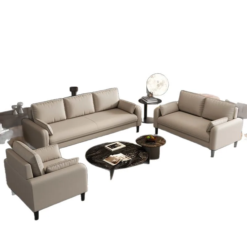 

Light luxury sofa small apartment double triple sofa apartment rental room rest area reception bed and breakfast clothing store