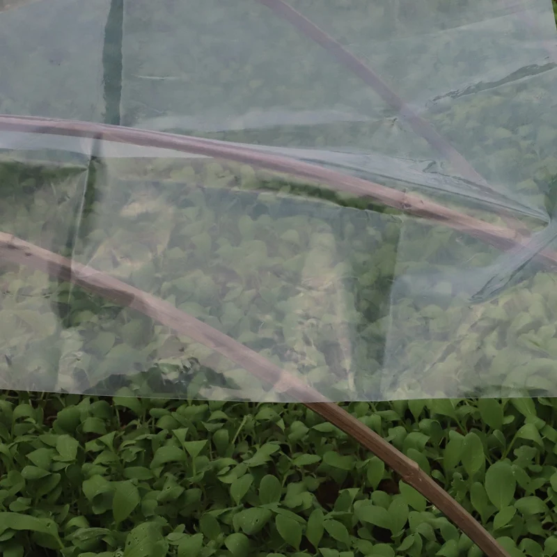 1M 0.1~0.16mm Agriculture Greenhouse Transparent PE Film Garden Furniture Rainproof Dustproof Succulent Plants Cover