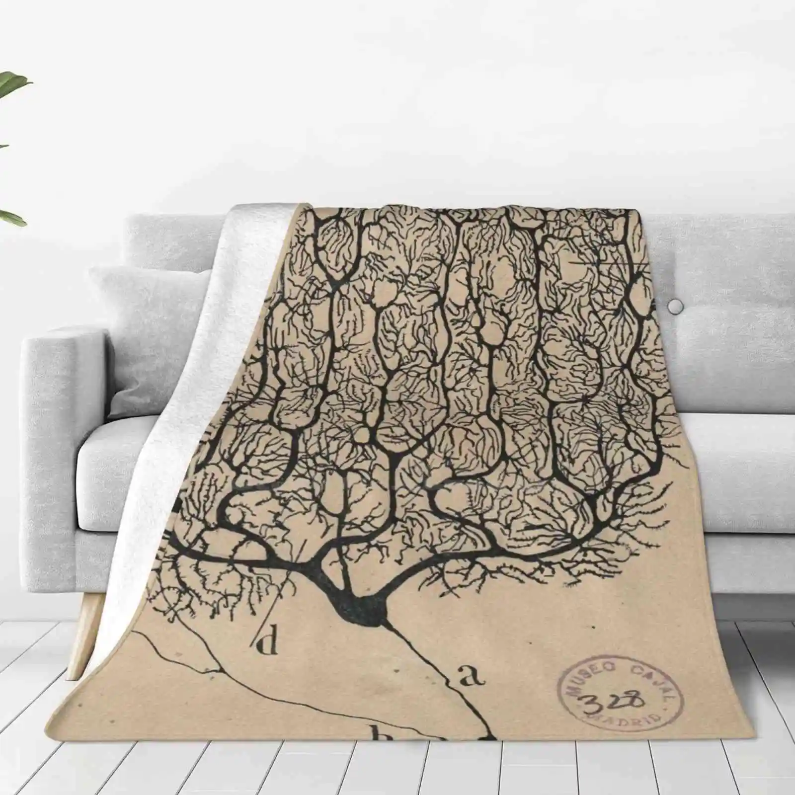 Neuron Src Four Seasons Comfortable Warm Soft Throw Blanket Neuron Santiago Ramón Y Cajal First Hand Science Neurology