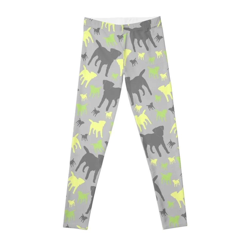 

Border Terrier Gifts For Dog Lovers Grey Yellow Green Silhouette Leggings Women sportwear gym clothing Womens Leggings