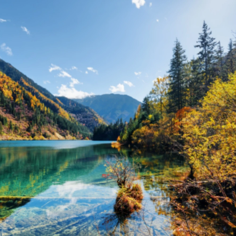 

Плюшевая кукла Sprunkis TV Person 9,84 дюйма Sprunkis TV Man Плюшевая кукла Музыкальная игра Кукла Ритм-бокс Телевизионные люди для детей Игрушки Подарок