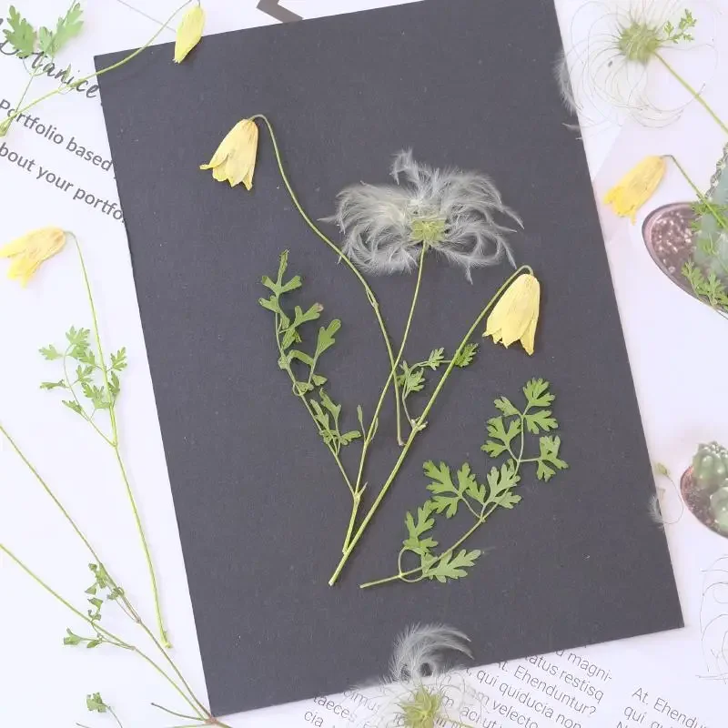 Nature Pulsatilla Flower Dry Flower Embossed Painting Sticker Fluffy Resin Epoxy Phone Case Party Gift Card Bookmark,610cm/24pcs