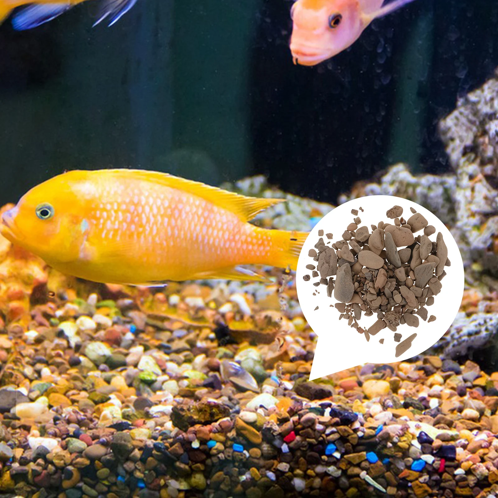 

Fish Tank Gravel Decorative Stones Flowerpot Stone Plants Vivid Natural Aquarium Reusable Pet Supplies Delicate