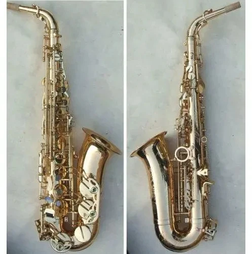 

professional alto saxophone for professional saxophonist recommending by buyer