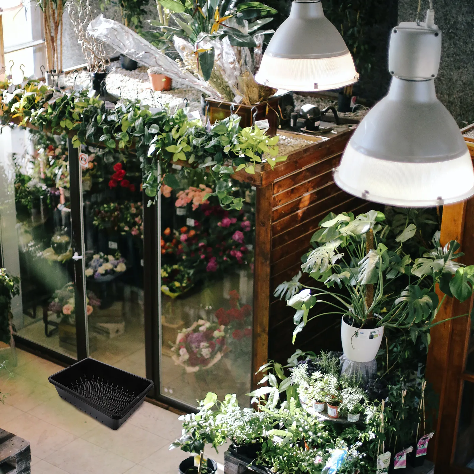 

Набор из 2 поддонов для рассады с высоким дном, черные лотки для проращивания и выращивания растений для здорового роста растений