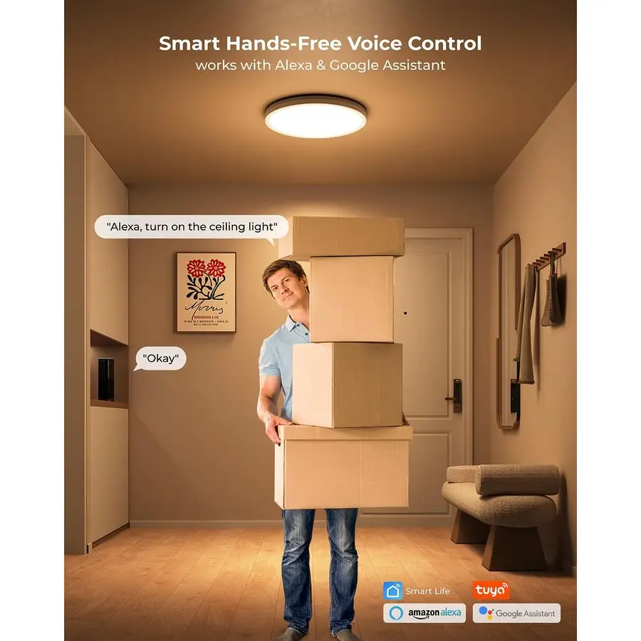 Smart LED Ceiling Light WiFi, 12IN RGB Flush Mount Light Fixture, DIY Colors, Compatible with Alexa Google Home, 3000K6500K Ceil