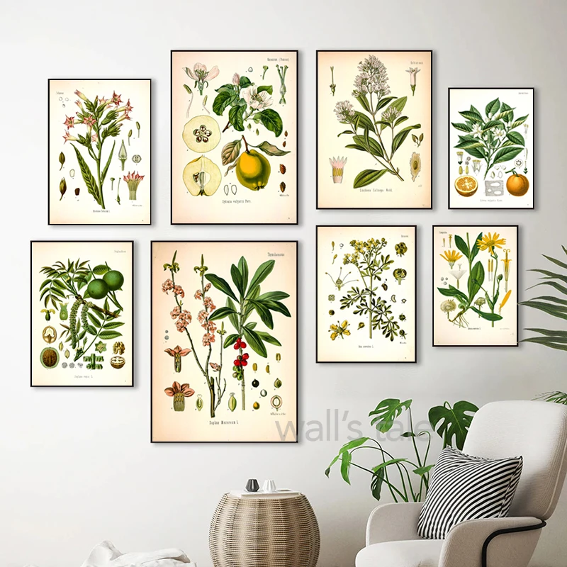 2026Koehler Medicinal Plants Canvas Painting, Vintage Botanical Posters and Prints Kitchen Wall Pictures, Living Room Home Decor