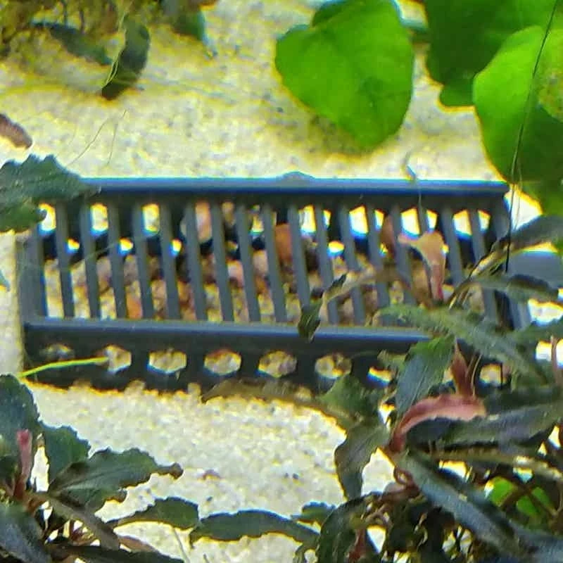 Aquarium Snail Trap Fish Tank Pest Catcher Trap for Removing Aquatic Snails and Worms