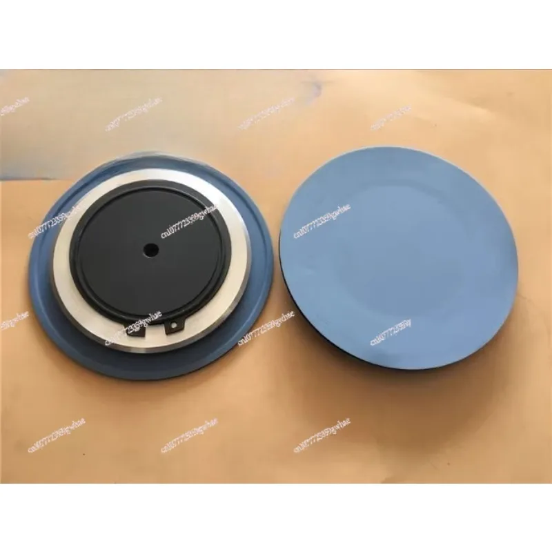 

Для аксессуаров дозирующего насоса SEKO диафрагма MS1A94 MS1C138 MS1C165 MS1B108A диафрагма