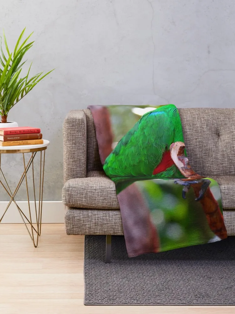 Stunning Eclectus Parrot on Branch Throw Blanket Personalized Gift heavy to sleep Blankets