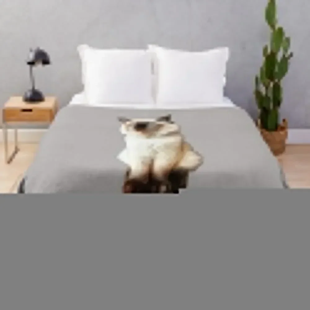 Ragdoll gato muñeca de trapo gatito Birman Seal Point manta de felpa térmica anime mantas sofás de decoración mantas