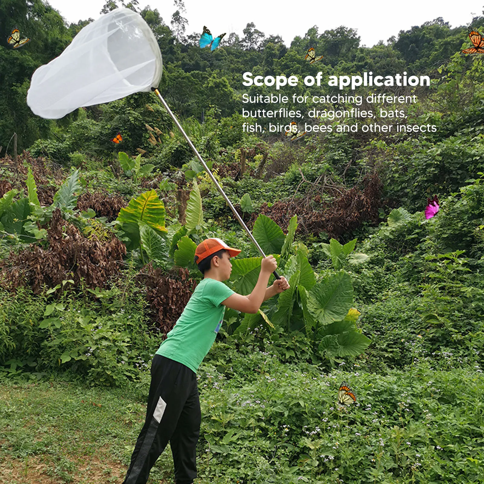 

ZK30 Butterfly Net Professional Portable Lockable Telescopic Butterfly Net for Kids Adults