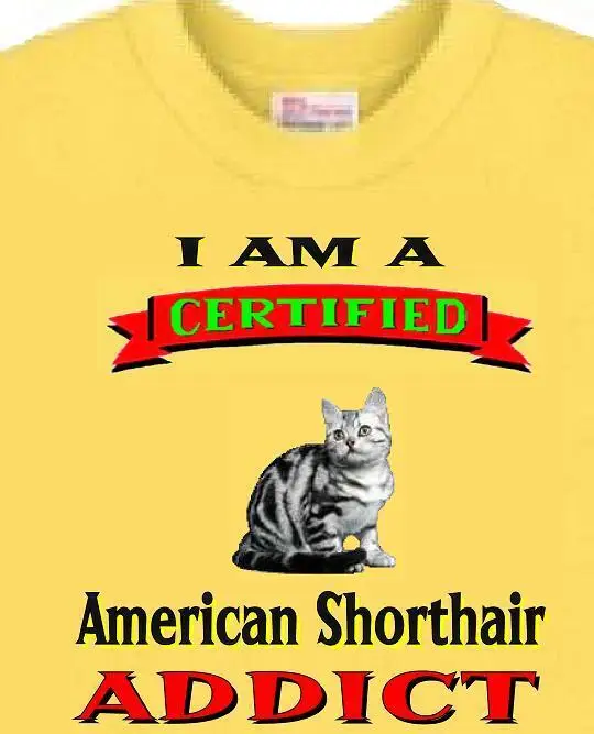 

Cat T Shirt Men Women- I Am A Certified American Shorthair ADDICT- Short Sleeve