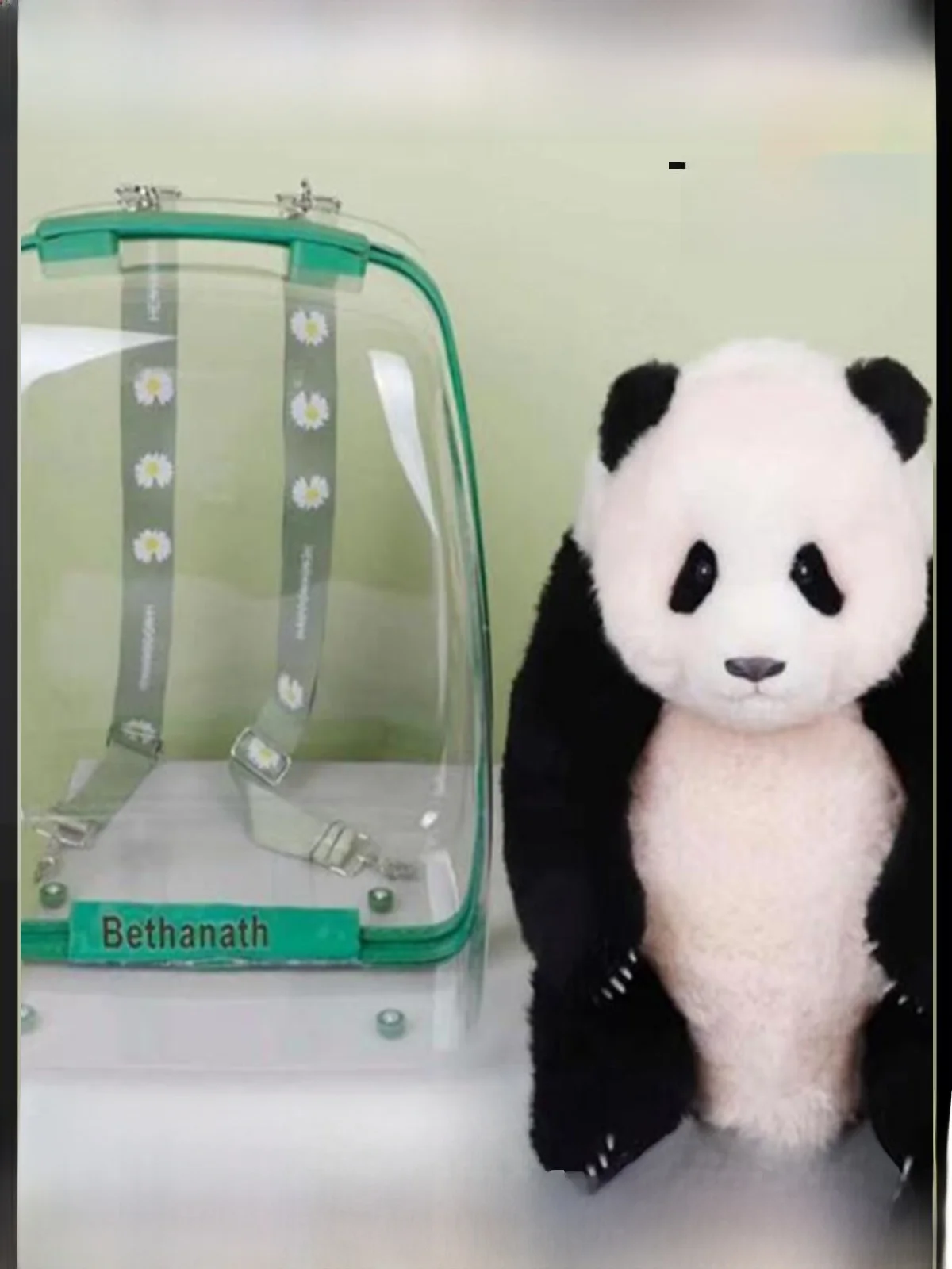 

Transparent Bapa for Pandas 6 Months Old Flower Storage Pet Bag Cute Orange Design Universal Pet Travel Gear