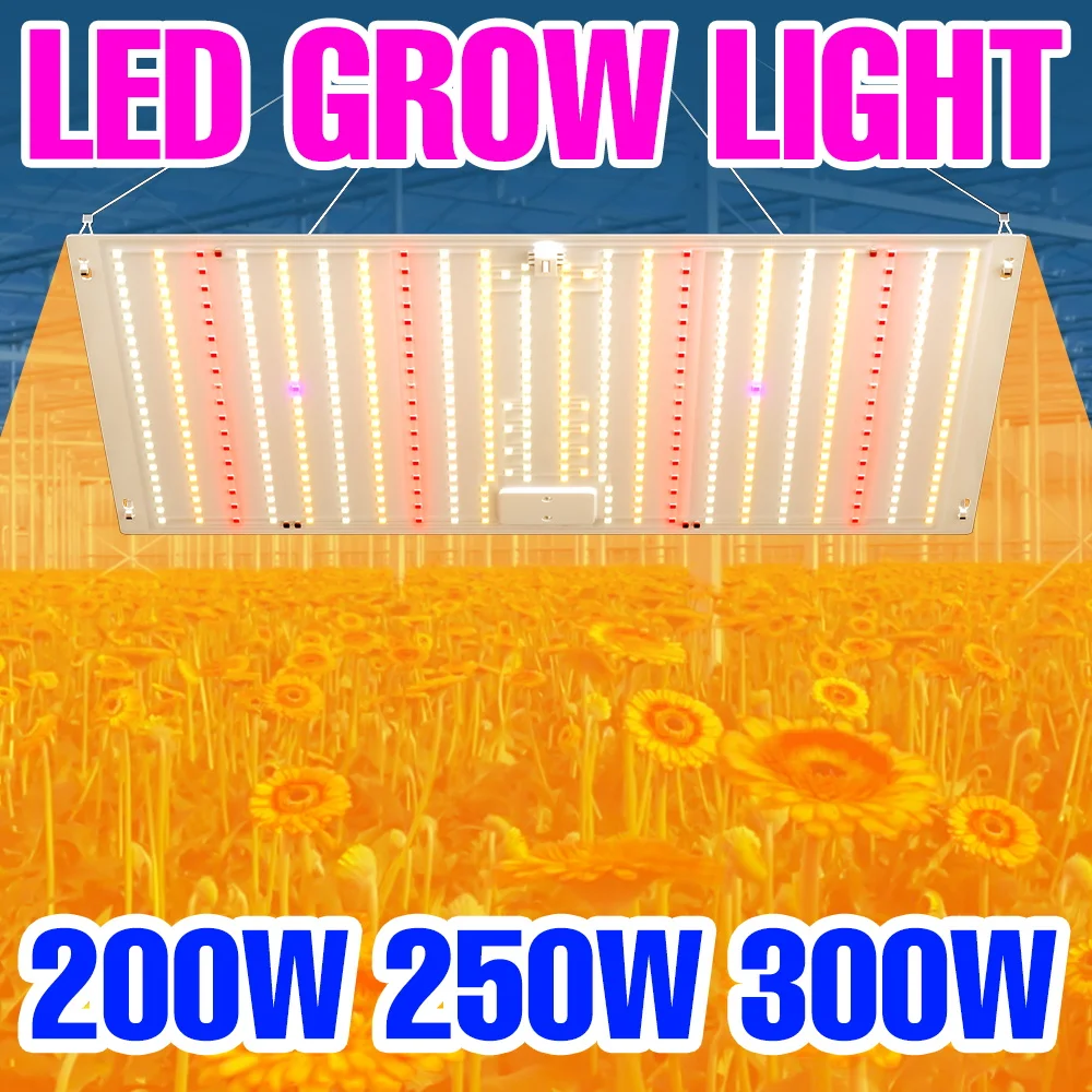 

300 Вт светодиодный полный спектр квантовой доски, светильник для выращивания растений, комнатная тепличная палатка, бонсай, выращивание кактусов, заполняющее освещение, вилка европейского/американского стандарта