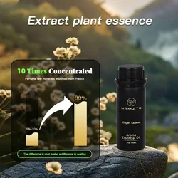 NAMSTE Perfume Hotel Frgrance Oil Box Home Room Air Freshener Device Air Purifier Electric Aromatic Oasis Premium Set For Gift