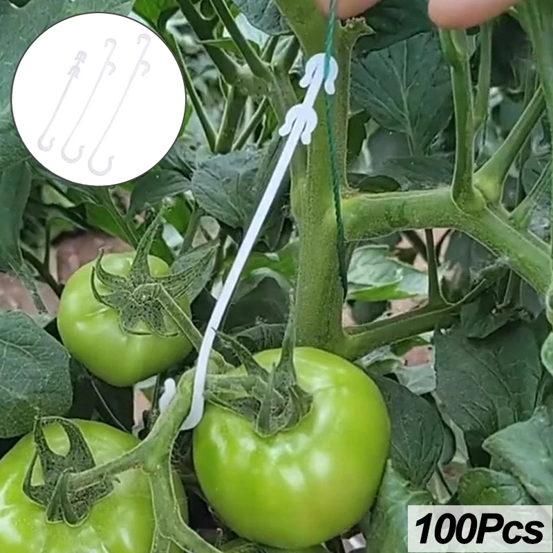 J Shaped Tomato Hooks Vegetable Cherry Grape Plant Support Clips Fixed Hooks for Prevent Tomato Fruit Cluster Garden Supplies