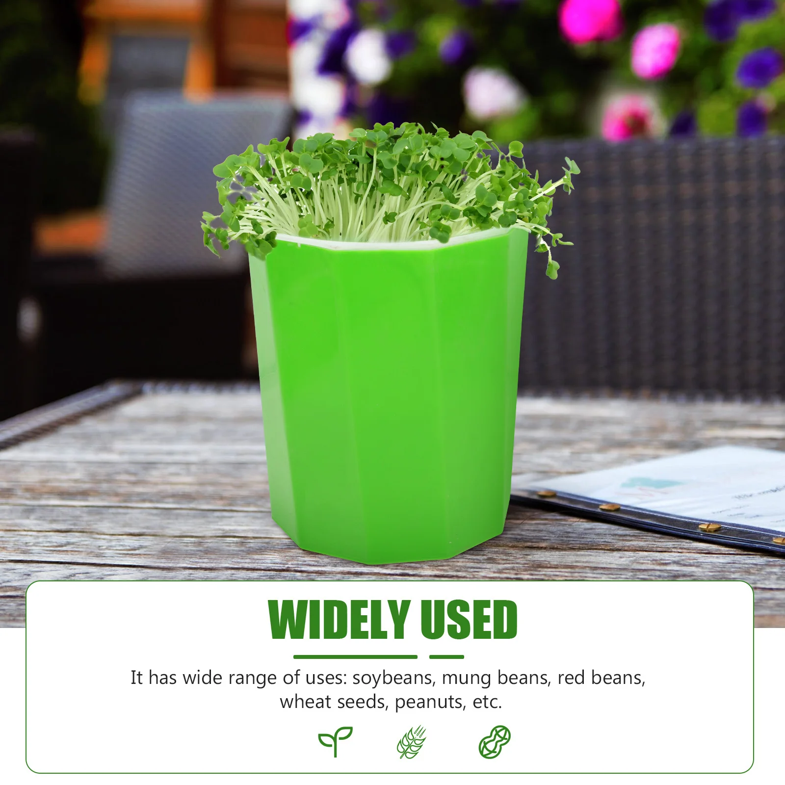 وعاء تنبت الفاصوليا البلاستيكية لزراعة بدون تربة، صناعة متقنة، تصميم قابل للتنفس، إنبات، دلو متزايد للمنزل #2