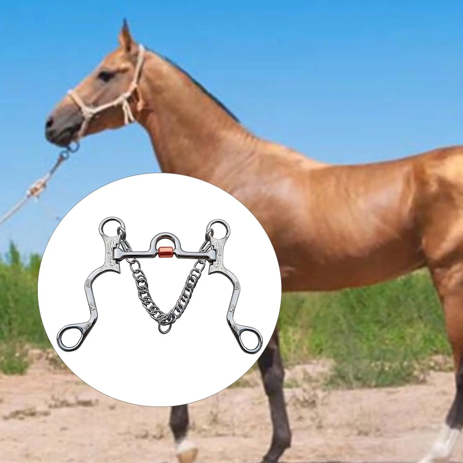 Stainless Steel Horse Bit Copper Mouth for Horse Training Mouth Length