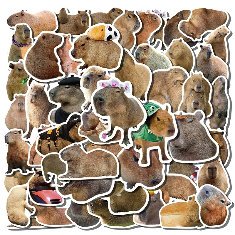 50PCS Capybara Anim…