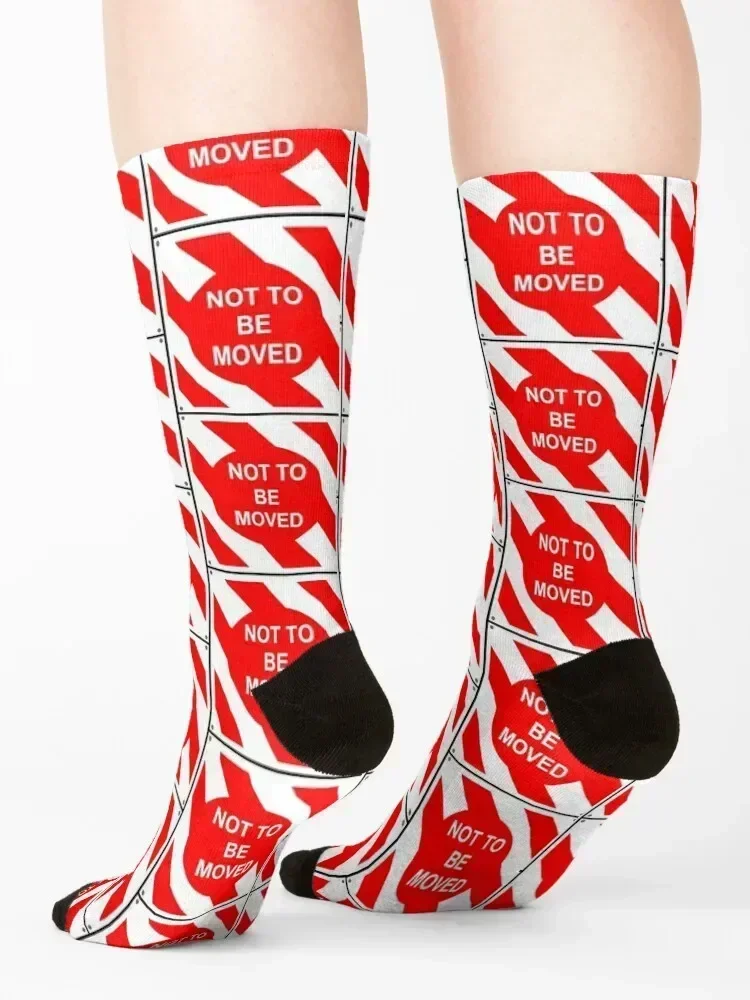 british rail sign Socks kawaii winter gifts anime essential Male Socks Women's