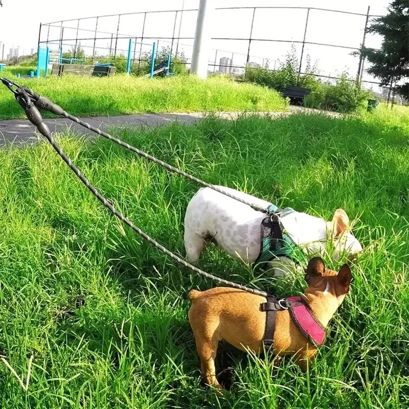 Heavy Duty Dog Leash