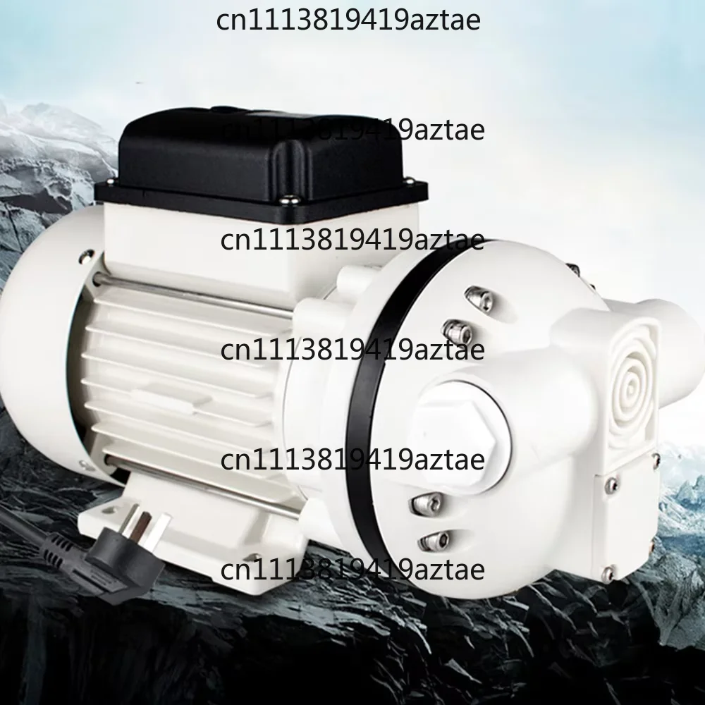 40L/Min Electric Self-Priming Diaphragm Pump for Laundry Liquid Acid Wine Spraying Irrigation Liquid Transport