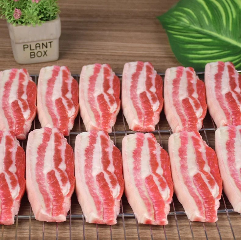 Photography Jokes - Realistic Fake Sliced Meat - Single