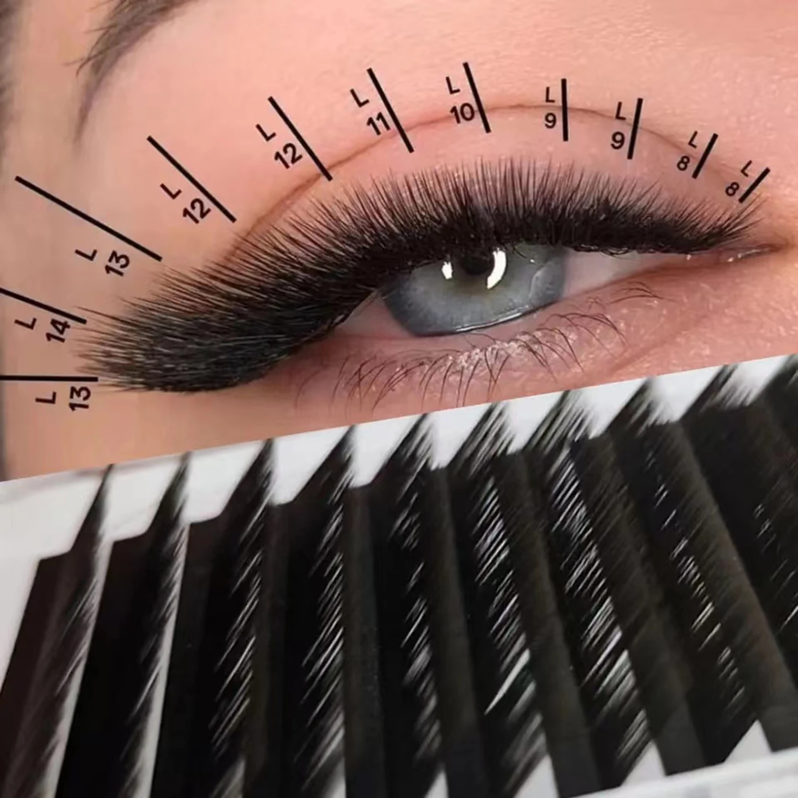 L Curl Easy Fan sztuczne rzęsy nowe mody profesjonalne rzęsy z norek hurtownia M kształt pojedyncze rzęsy do makijażu — zdjęcie 2