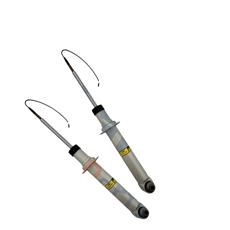 2 Pieces Rear Left Righ Shock Absorbers with EDC For BMW 7 Series E65 E66 740i 745Li 750i 2001-2009 33526785533