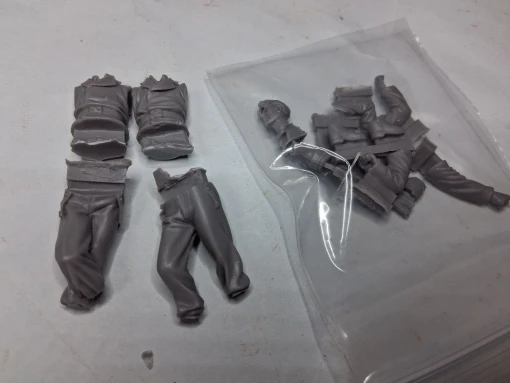 Buyer photo of this resin kit