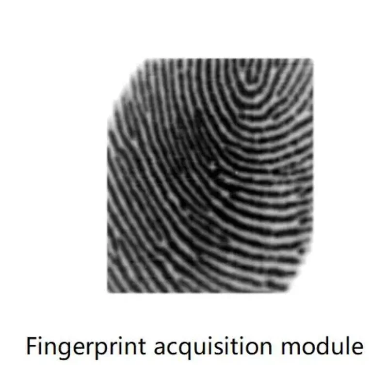 FPC1020AM Sensor, Semiconductor Capacitive Fingerprint Recognition Module, USB Port Embedded Fingerprint Collector