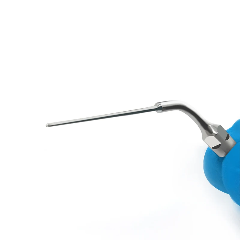 Le punte per scaler dentale in acciaio inossidabile VV si adattano ai strumenti metallici per la pulizia e lo sbiancamento dei denti con manico di marca KAVO