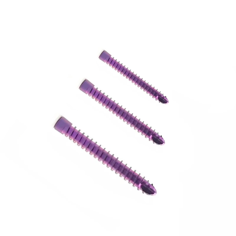 10Pcs Titanium Alloy Taper HC Lock Screws for Small Animal And Pet