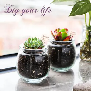 أفضل 8 مبيعات لأواني العسل للهدايا التذكارية - رقم 7