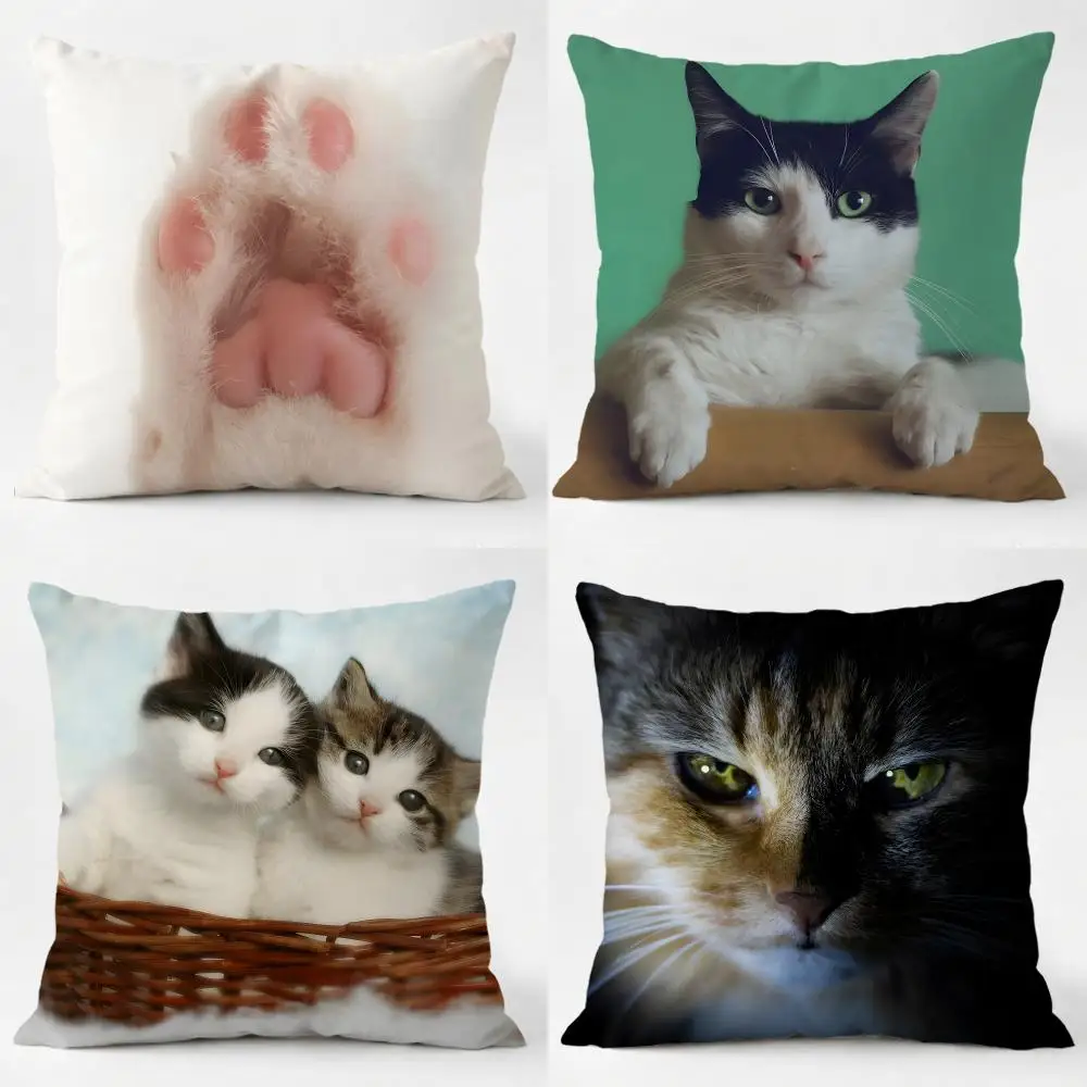 Curious Cuddly Art C-Cats Cushion Cover Sofa Home Living Room Car Decor Washable Decorative Square Pillowcase