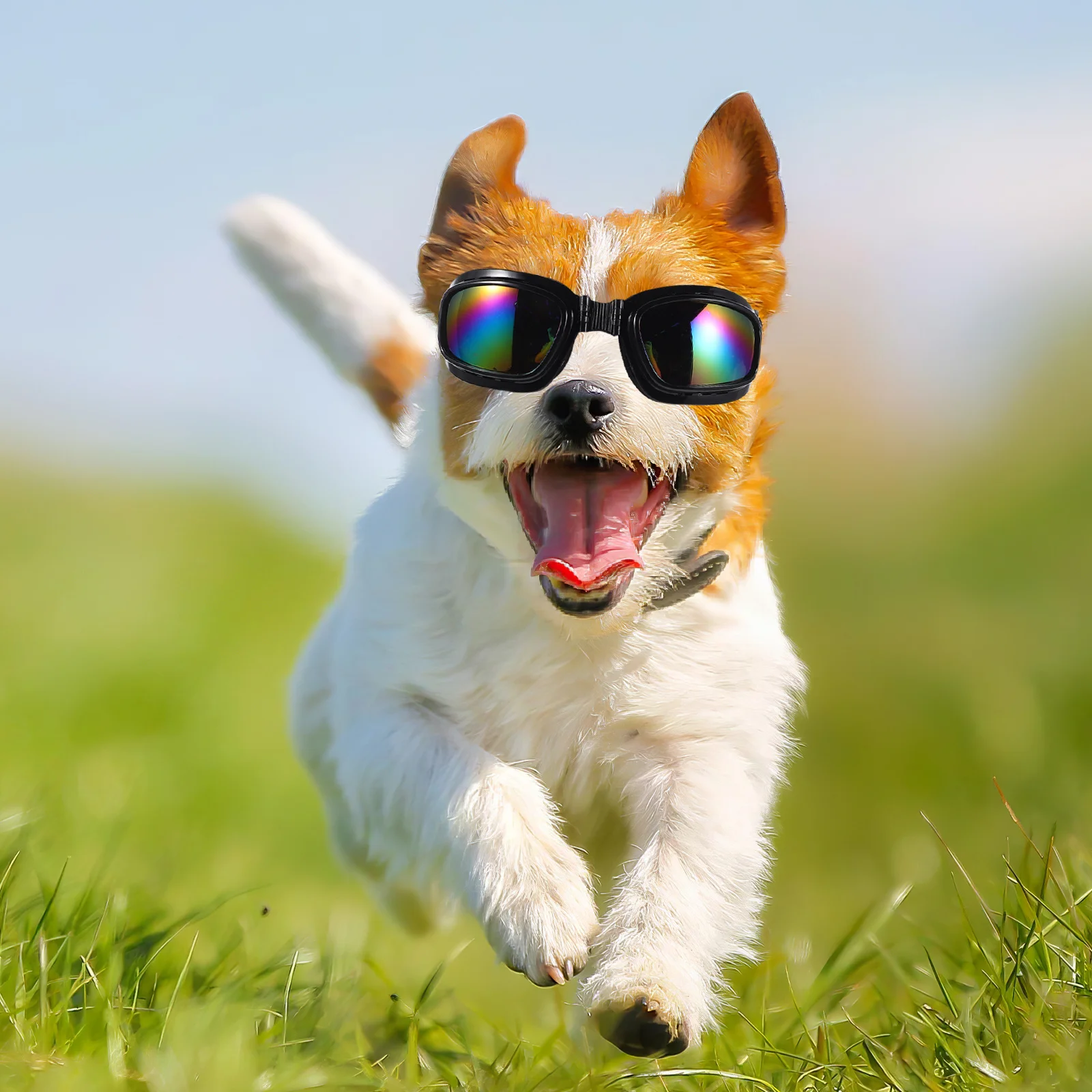 3pcs Motorcycle Goggles For Large Dogs: Windproof Waterproof Uv Protection Pet Eyewear Adjustable Strap For Riding Driving