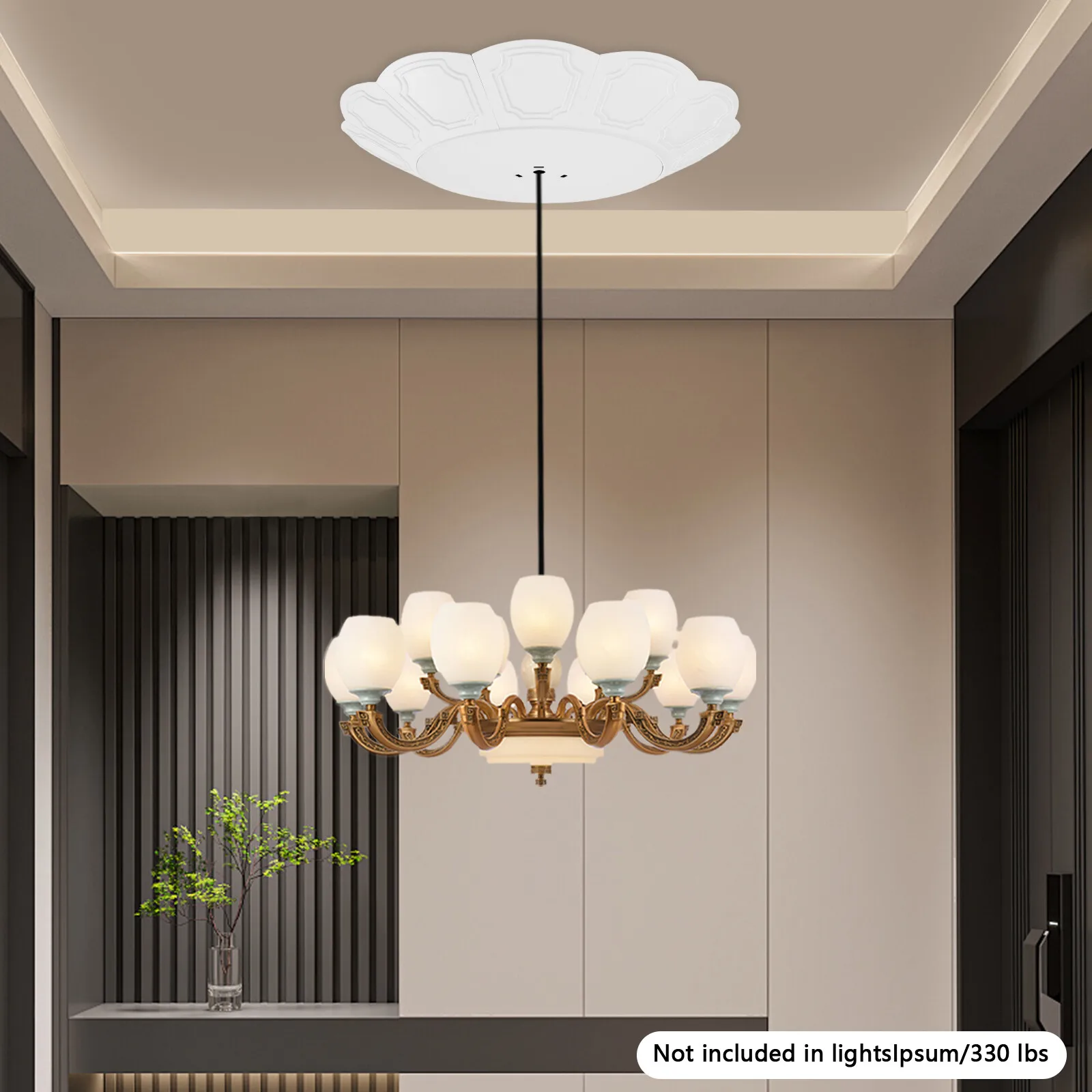 

Система подъема люстры с переключателем, грузоподъемность 330 фунтов, электродвигатель подъема, декоративная крышка для потолочного освещения, белый