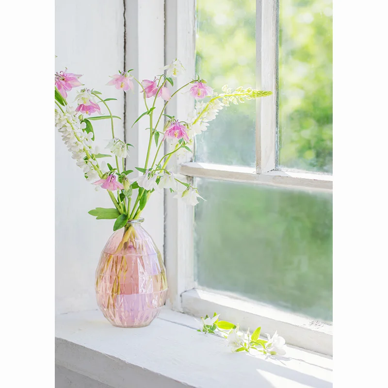 Zhiyuxi風景ビーチ写真背景小道具屋内装飾雪設定太陽写真スタジオ背景HH-06